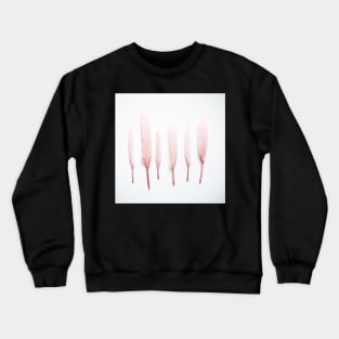 Pale Feathers Crewneck Sweatshirt